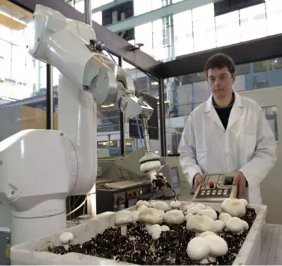 【图文】盘点这六大国农业机器人使用最新进展