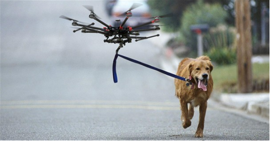 IBM无人机技术进军宠物领域
