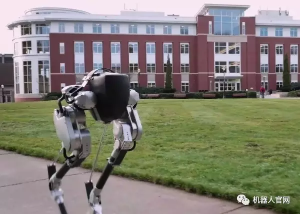 7种最具代表性的仿生机器人