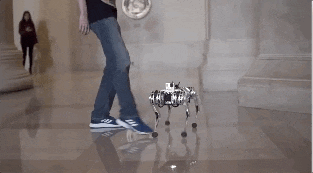 世界首个能后空翻的四足机器人--迷你猎豹面世