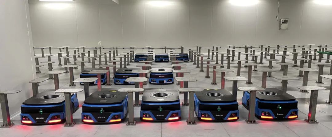 超百台物流机器人-国自食品行业智能搬运方案落地意大利
